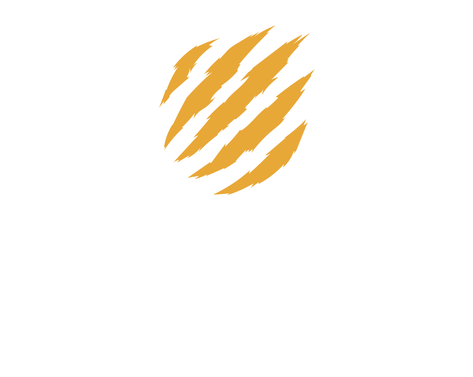 URSA PROTOCOL
